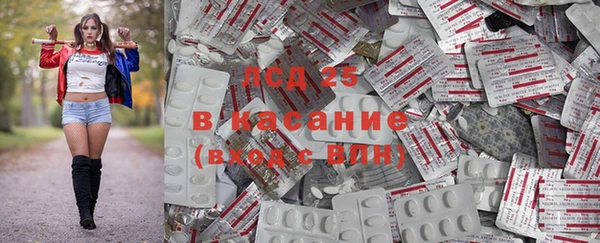 гашик Сатка