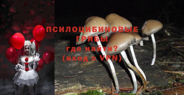 мет Семёнов
