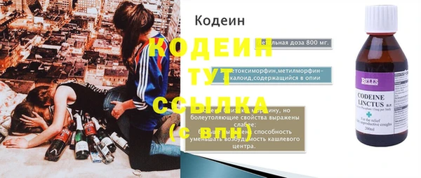гашик Сатка